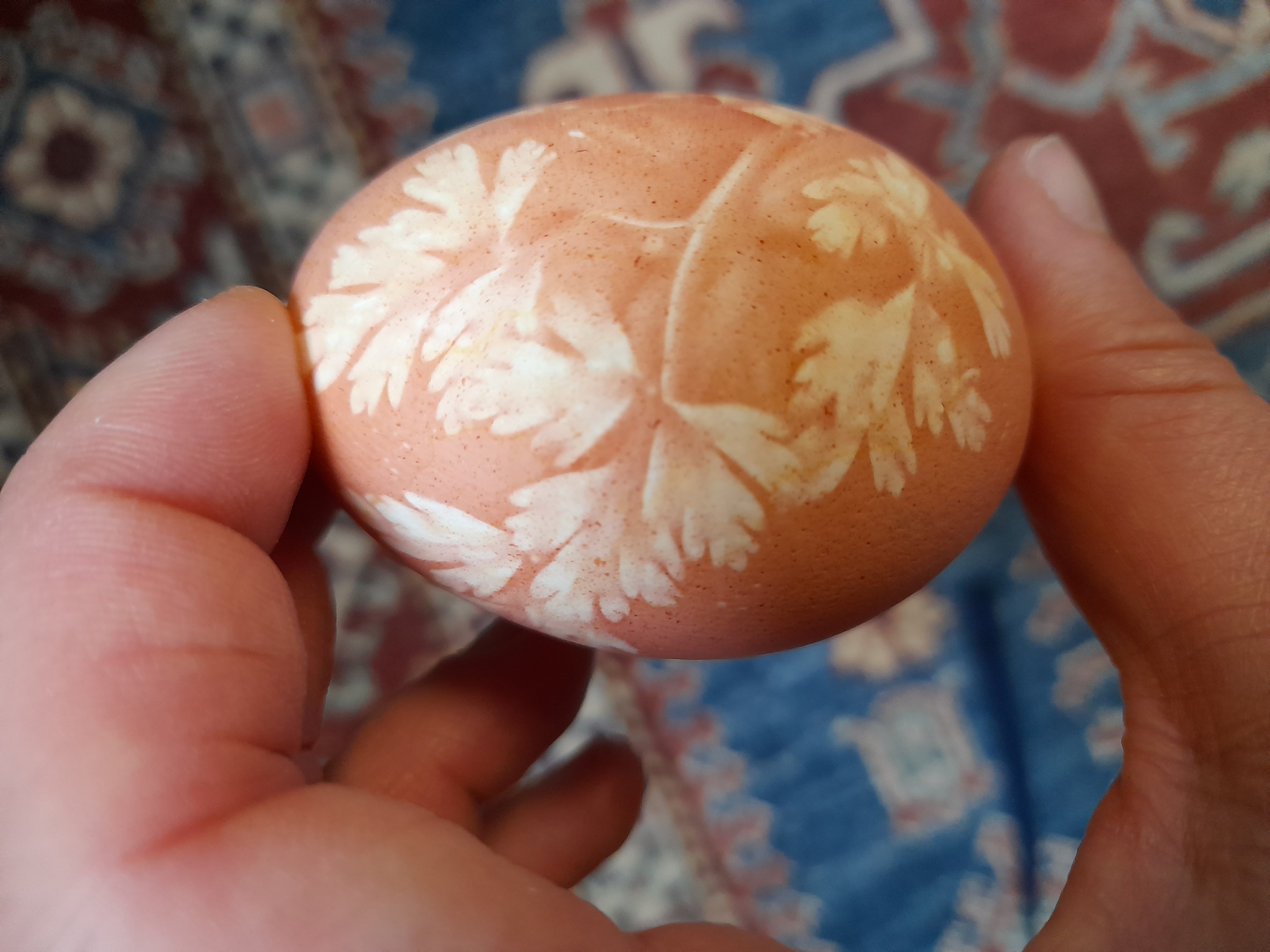 Teindre les œufs de Pâque en rouge : solutions et tradition - Vivre Athènes